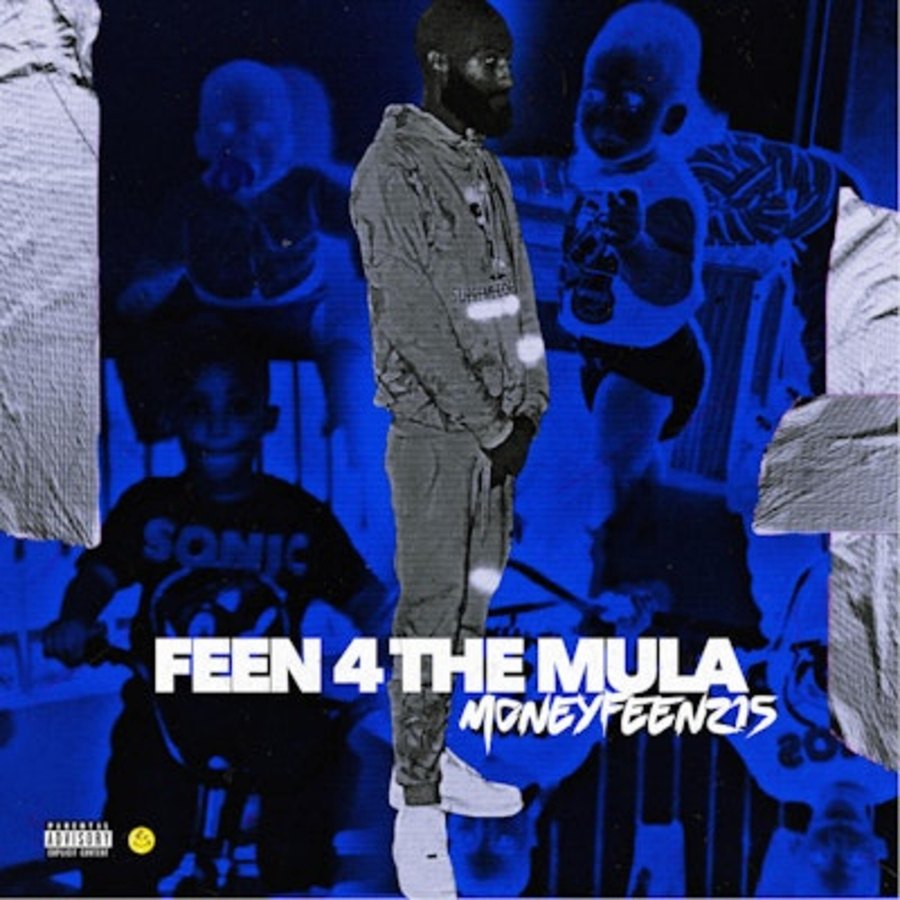 FEEN 4 THE MULA cover