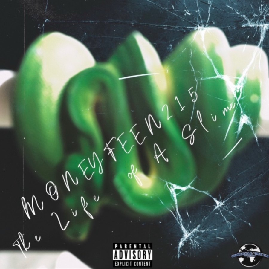 THE LIFE OF A SLIME cover